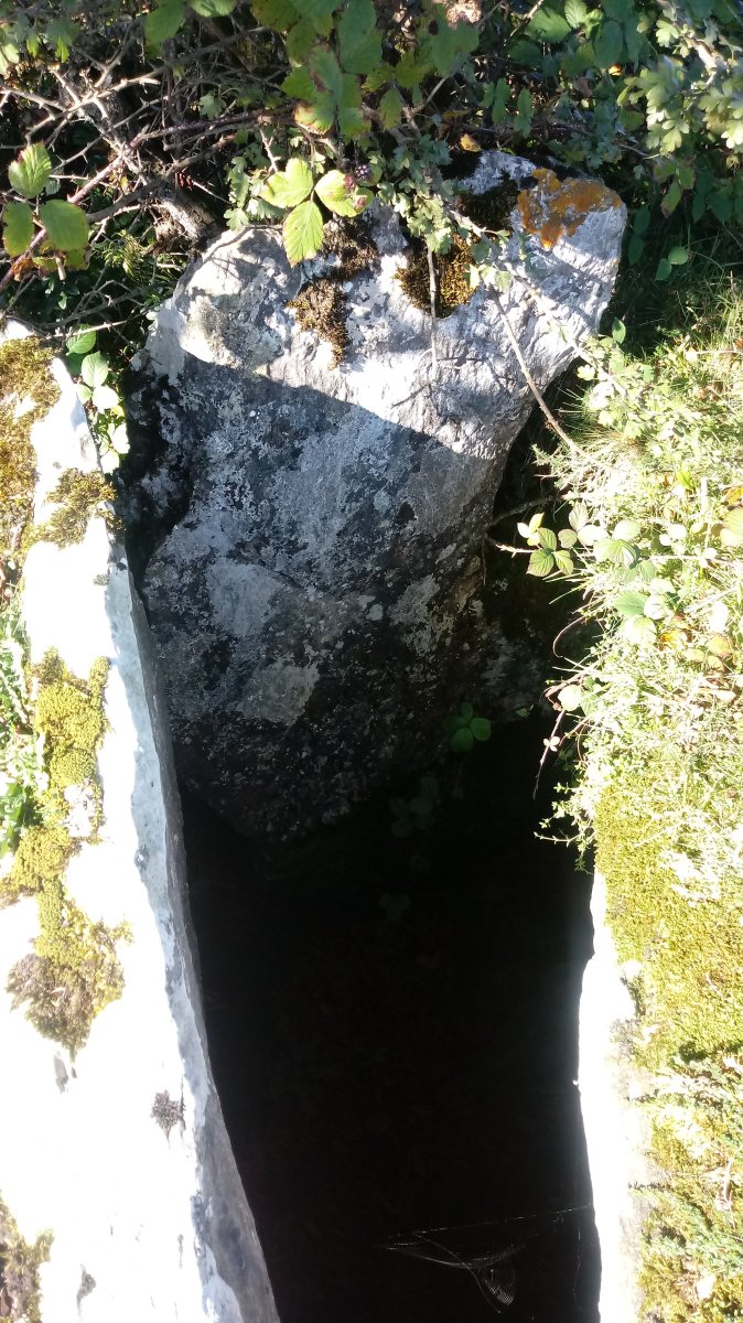 Agorritz trikuharria