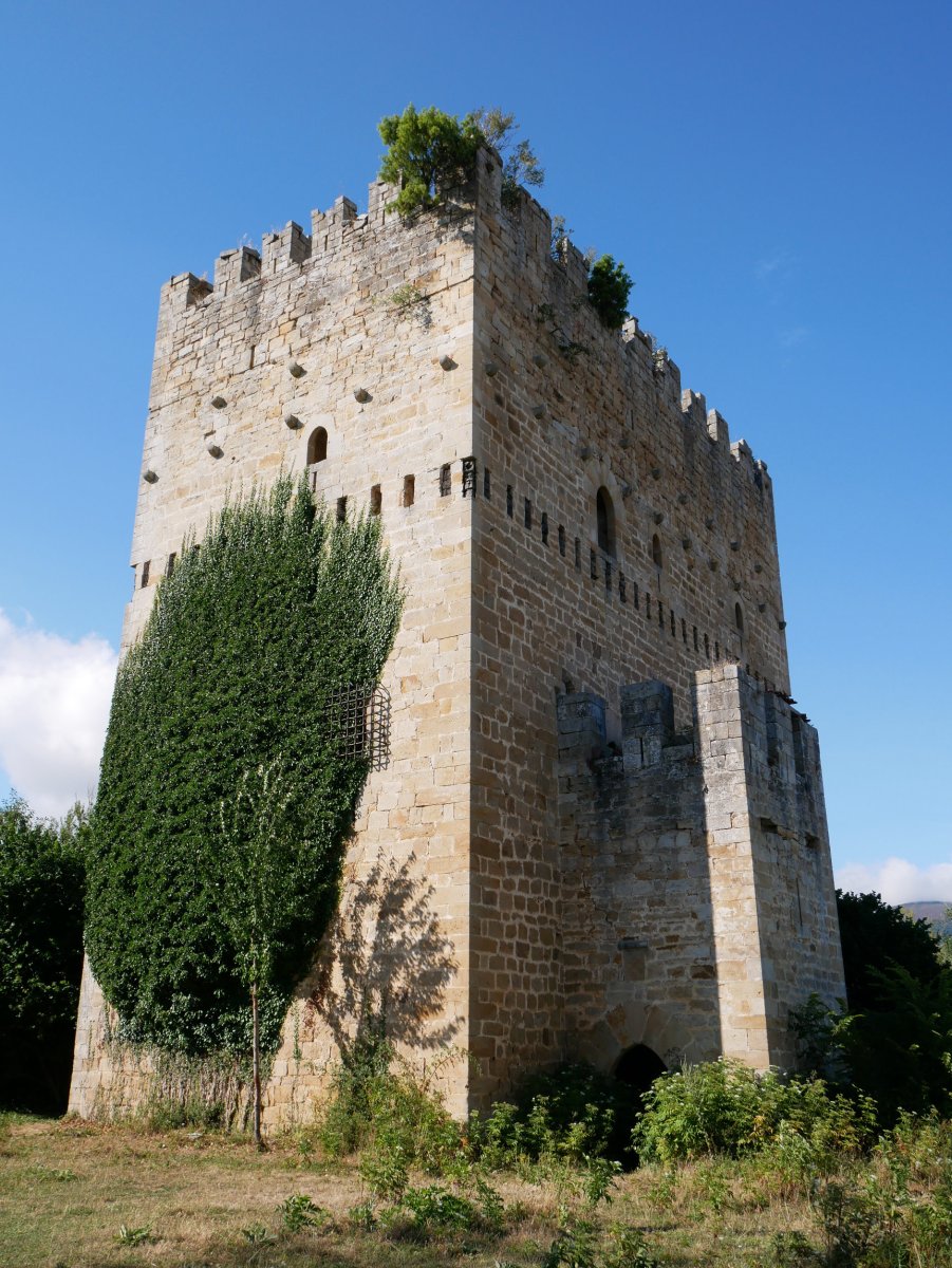 Velasco dorretxea, Espinosa de los Monteros