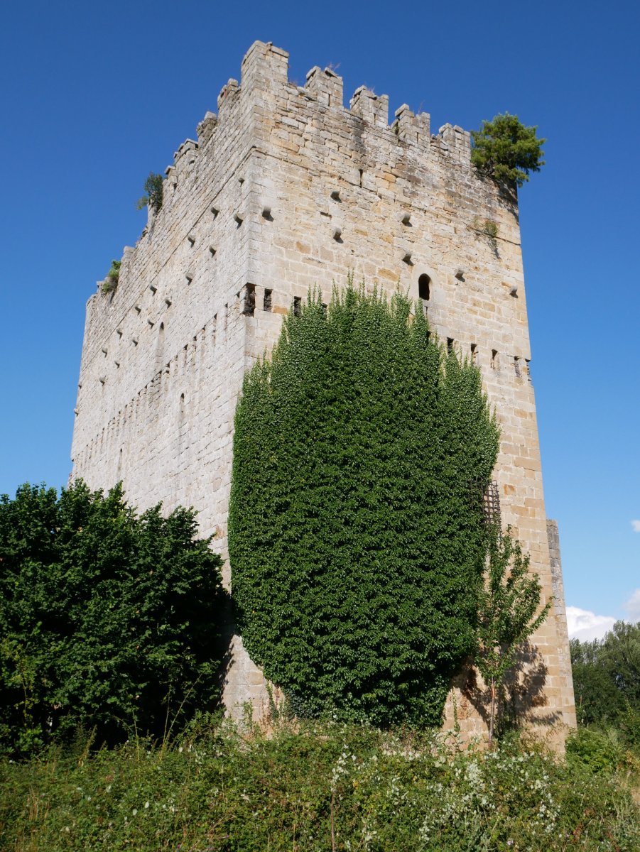 Velasco dorretxea, Espinosa de los Monteros