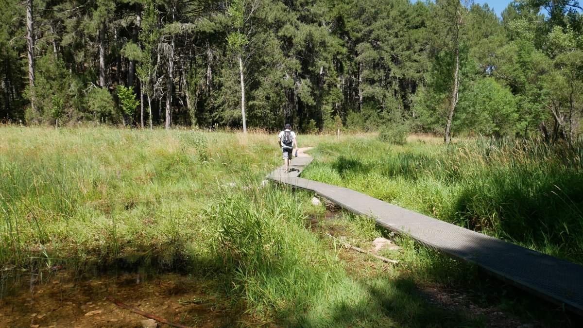 Lobos ibaiaren arroila
