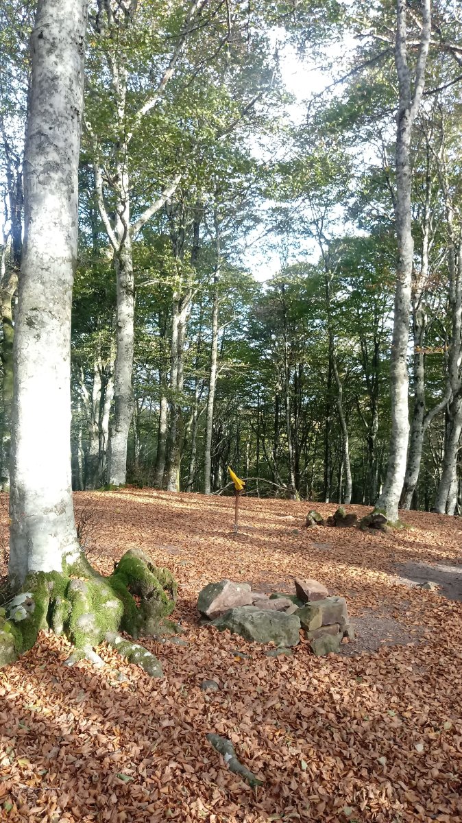 Burbona M. (931m) tontorra eta postontzia