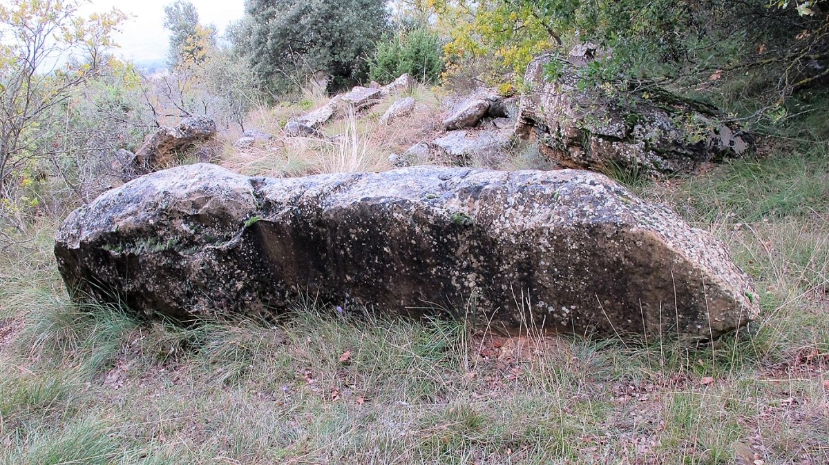 Oiangibela zutarria, Santsoain-Leotz