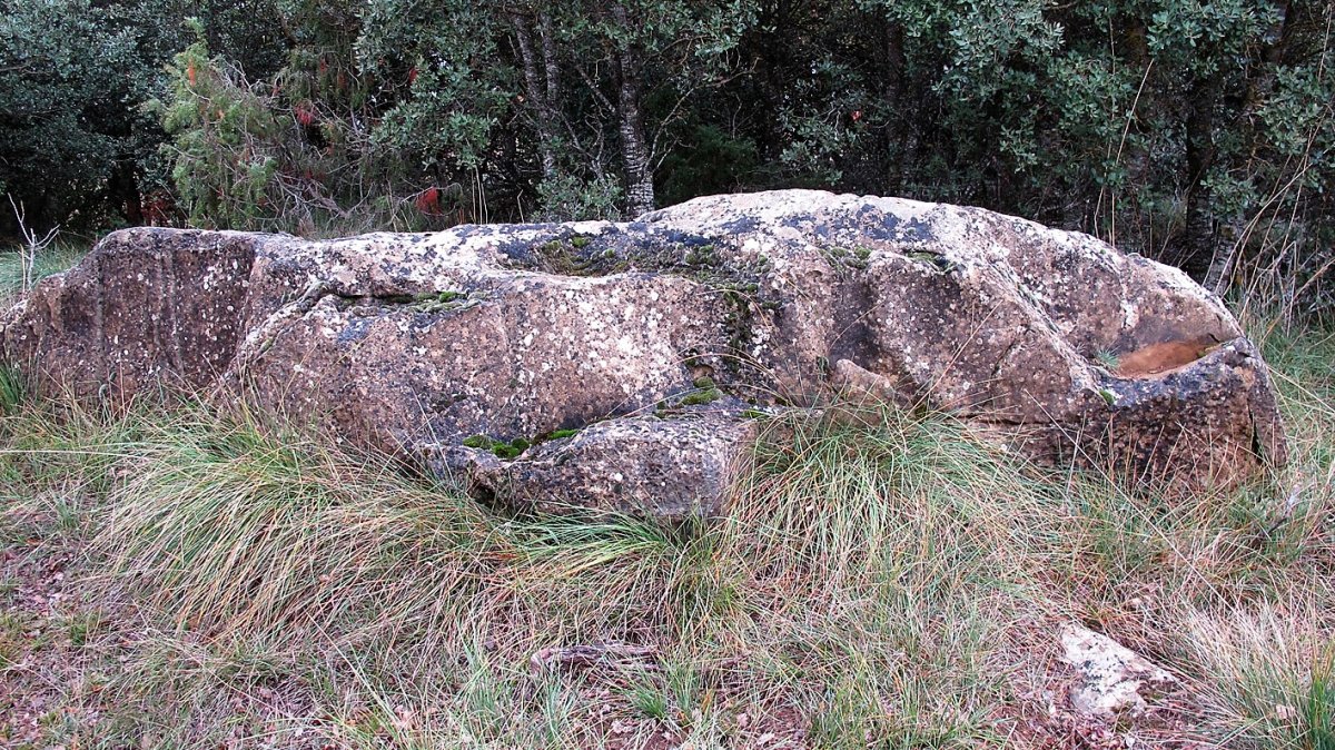 Oiangibela zutarria, Santsoain-Leotz