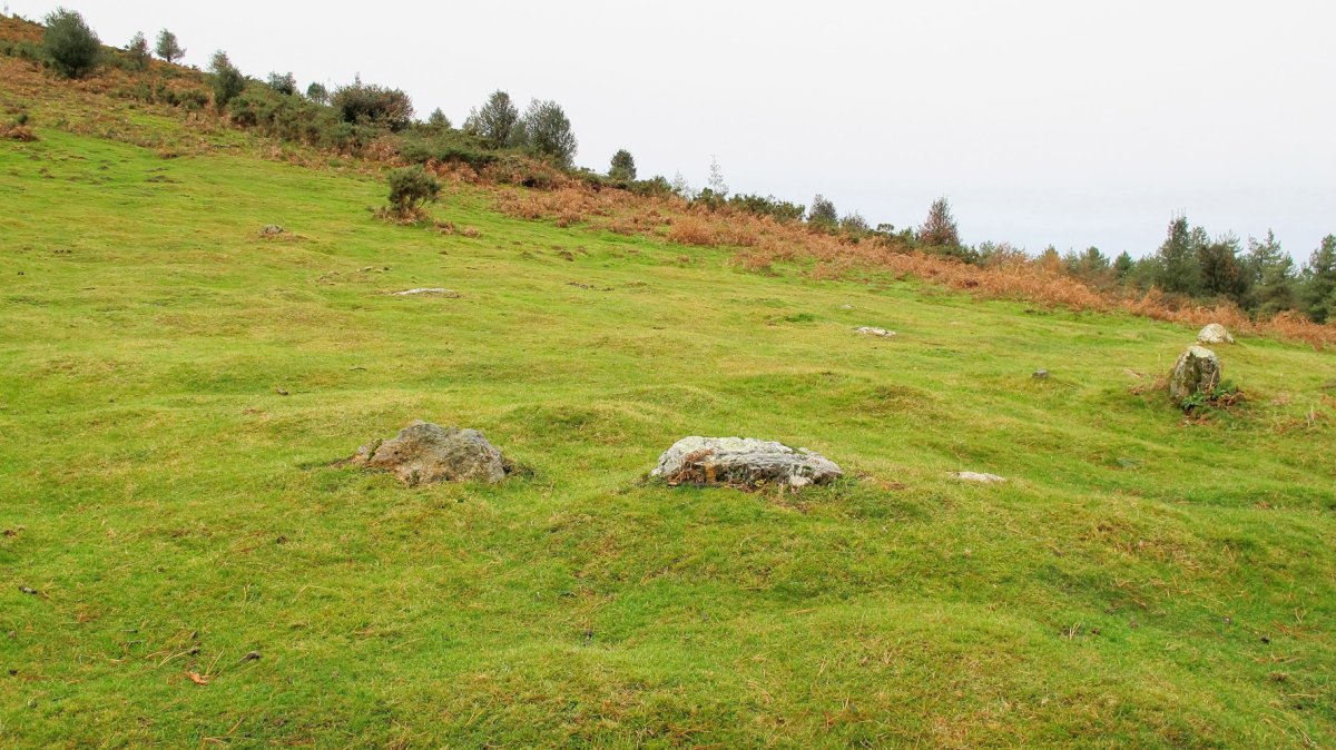 Mandale 5 harrespila, Bera