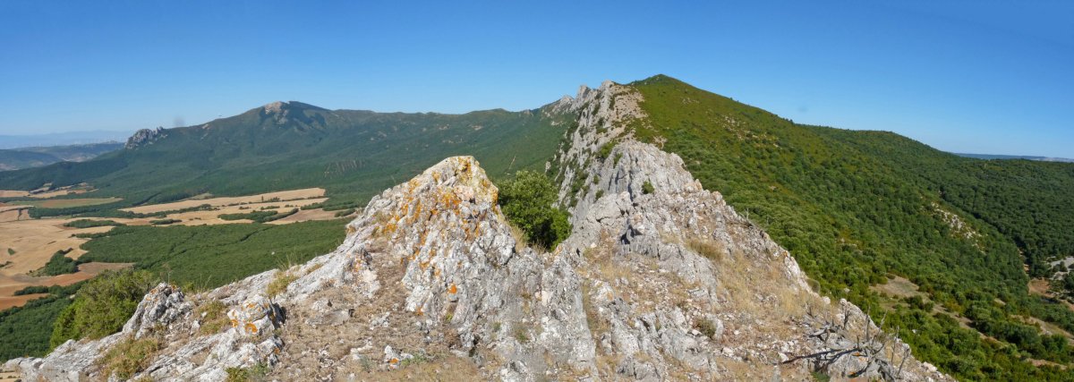 Encino del Herrero, gailurra. Gallet ikusgai hondoan