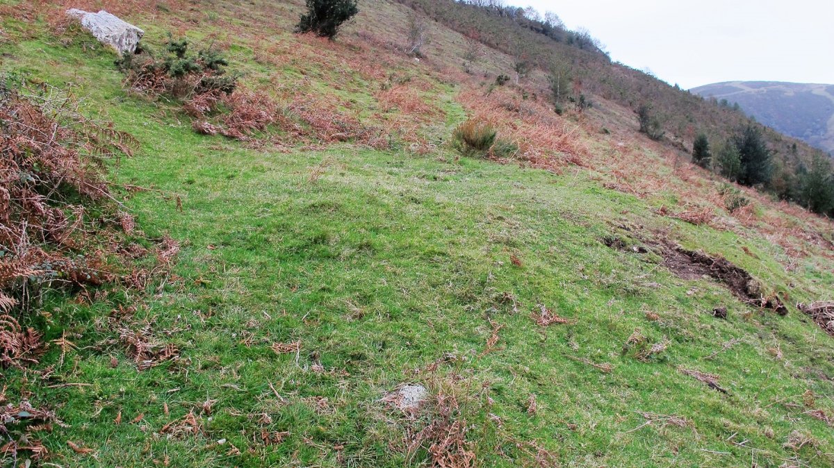 Faalegi etxola hondoa, Biriatu