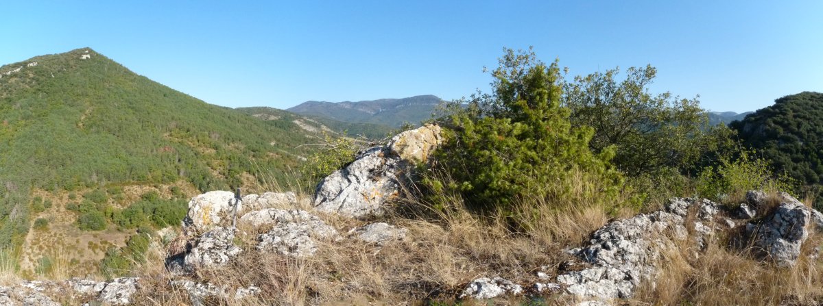 Kaztelualdeko gailurra