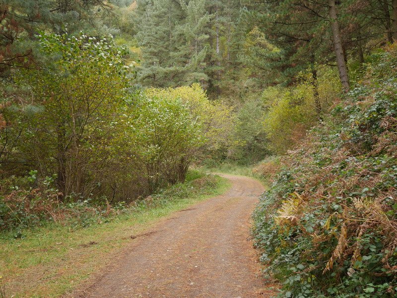 Garai bateko trenbidea