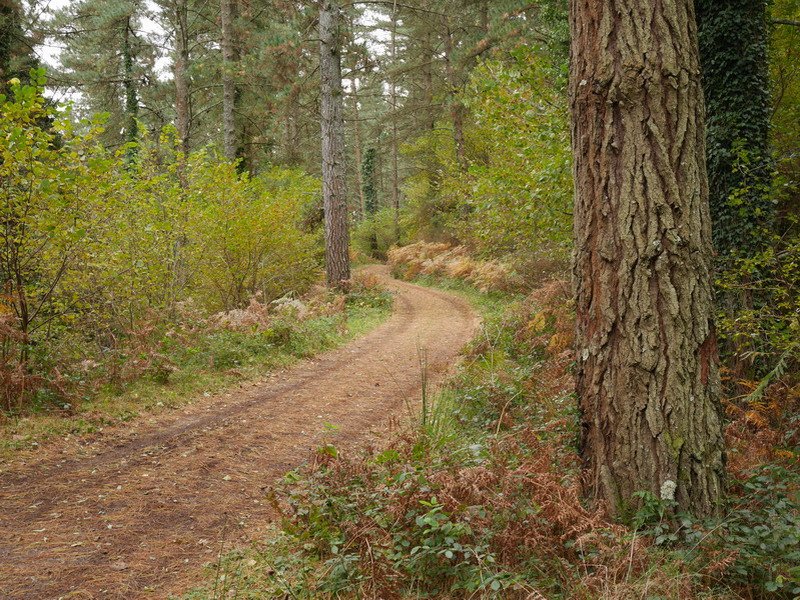 Garai bateko trenbidea