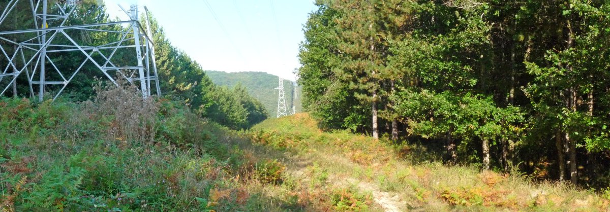 Linea elektrikoa Maaltza eta Uskain artean