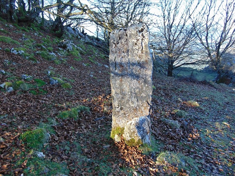 Arrietabaso Zutarria