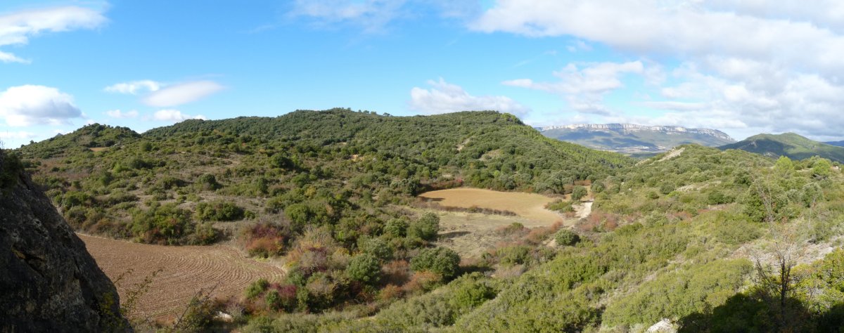 Ostaita, hegoaldetik