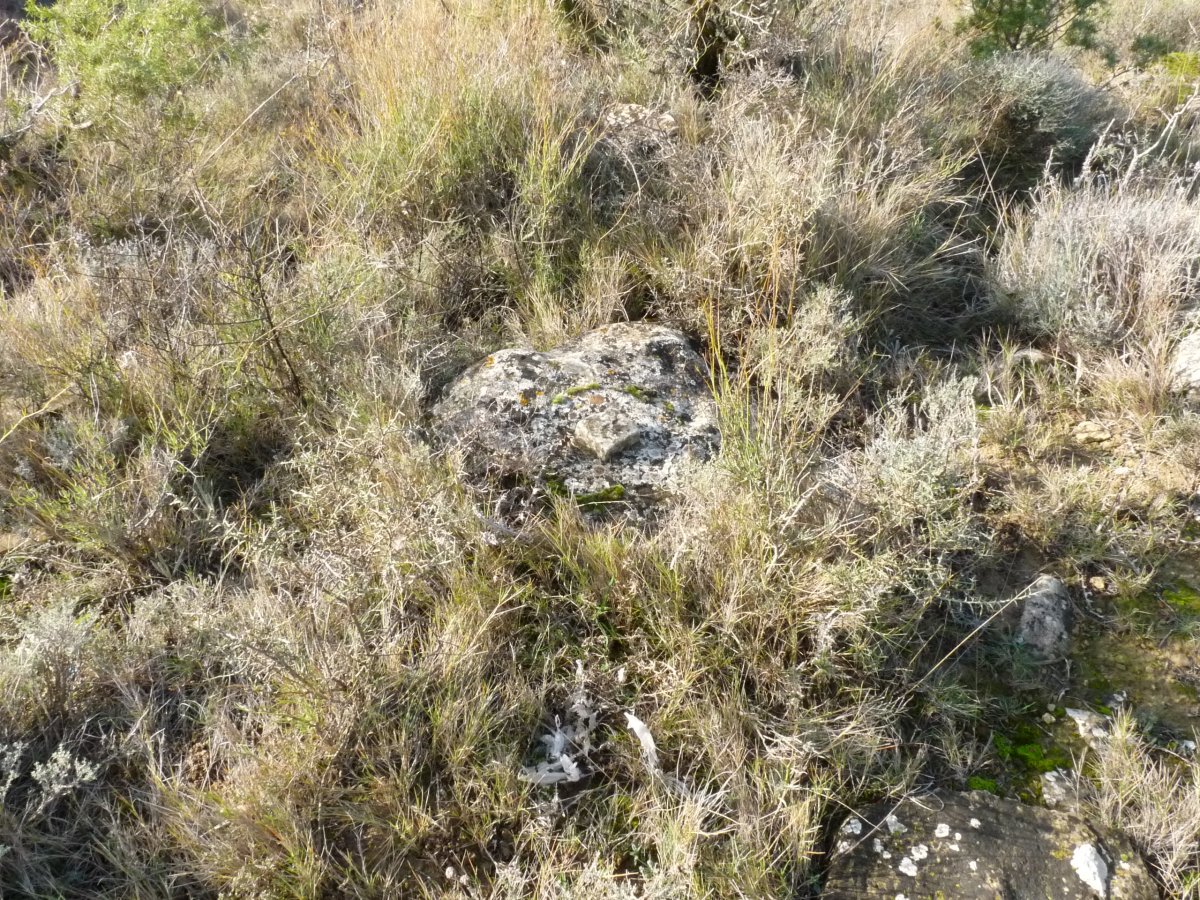 Tako geodesikoa, Gindillako gailurrean