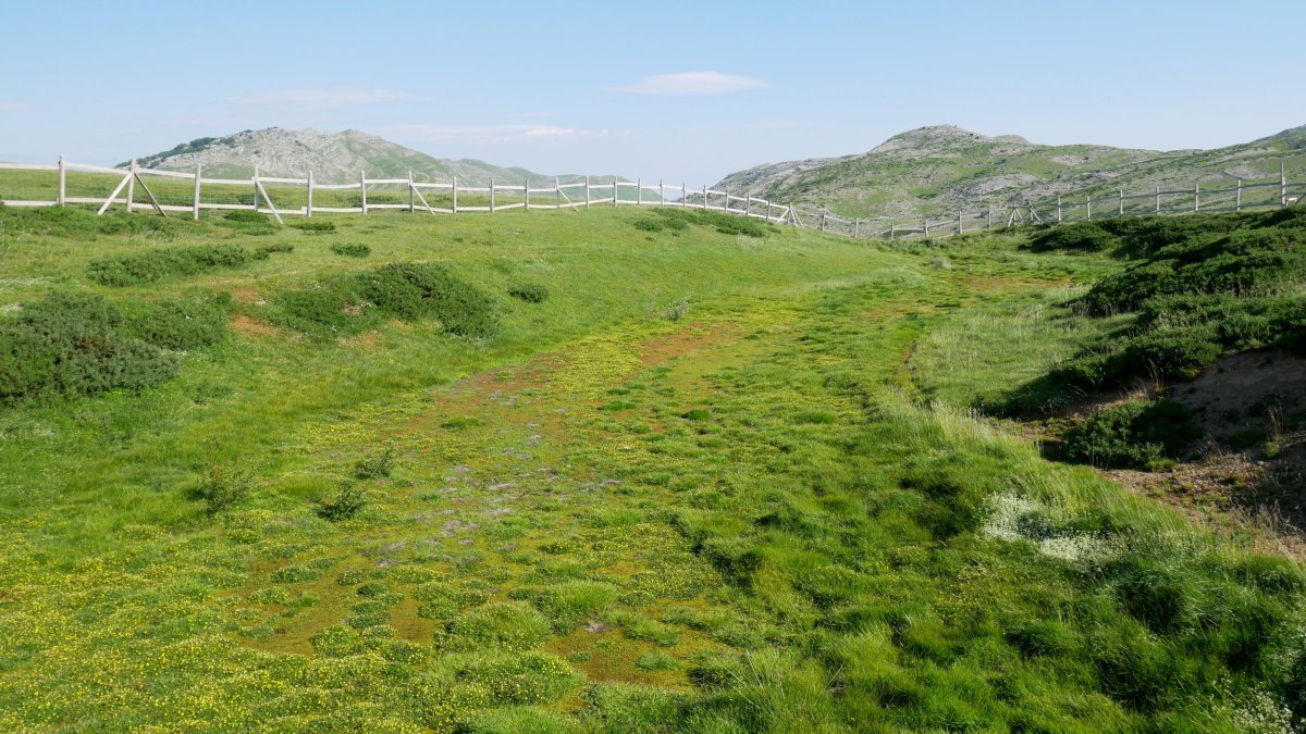 Udaren hasierako itxura