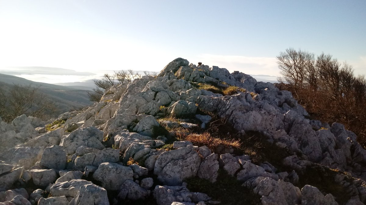 Gorosteta (1259m) tontorra eta postontzia