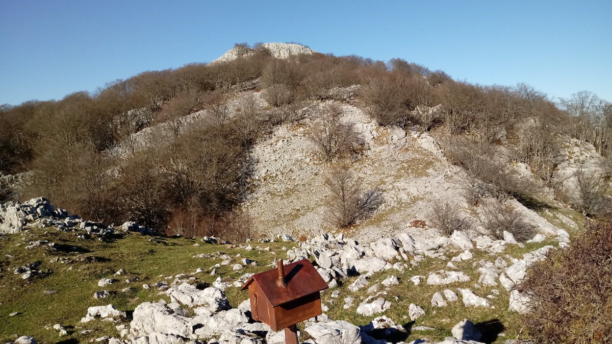 Gorosteta (1259m) Arrabakoatxatik (1177m) ikusita