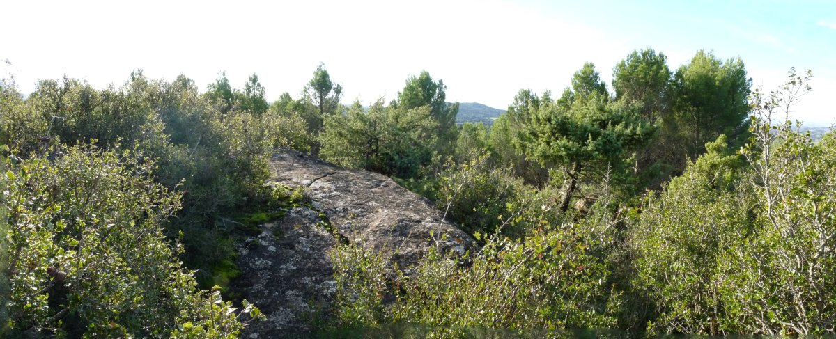 Alto de Ripa (608m), tako geodesiko batekin 