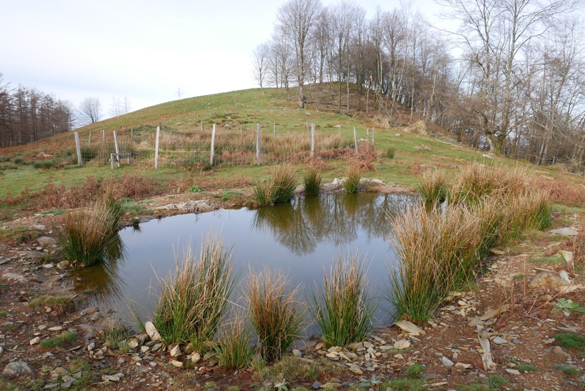 Urmael artifiziala Aldurako bizkarrean