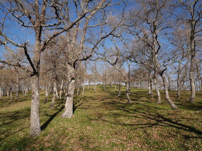 Hegoaldeko magaleko bidea