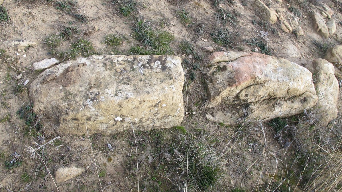 Karakidoia 2 trikuharria, Artaxoa