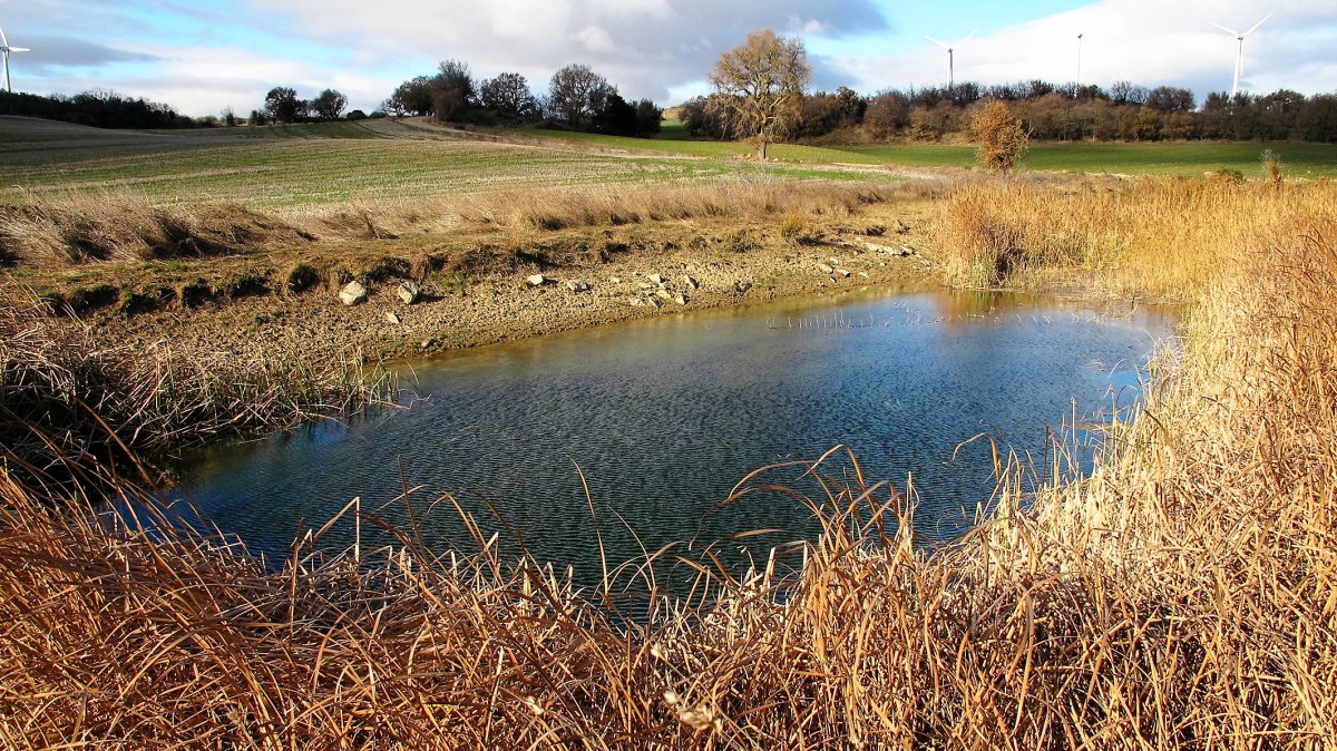 Balsa del Prado del Escribano, Garinoain