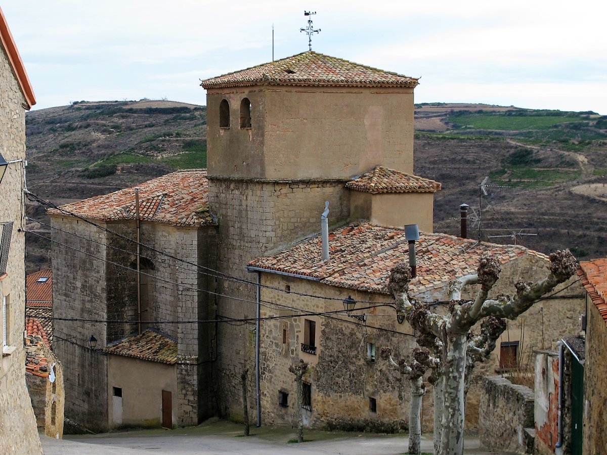 Andra Maria eliza, Aras