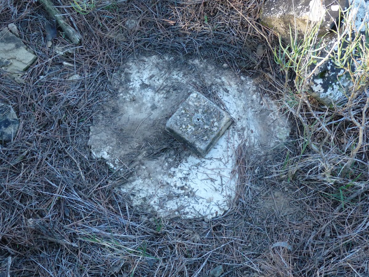 Tako geodesikoa gailurrean