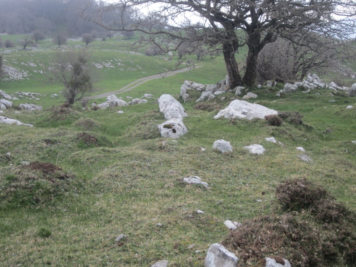 Dólmen Etzantza* (Abril 2015)