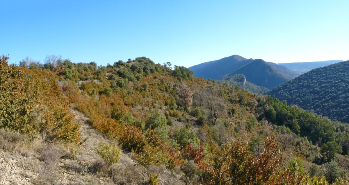 Montetesko gainaldea