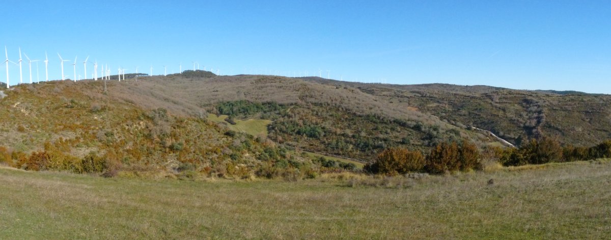 Alaitz bihotzeko gainak