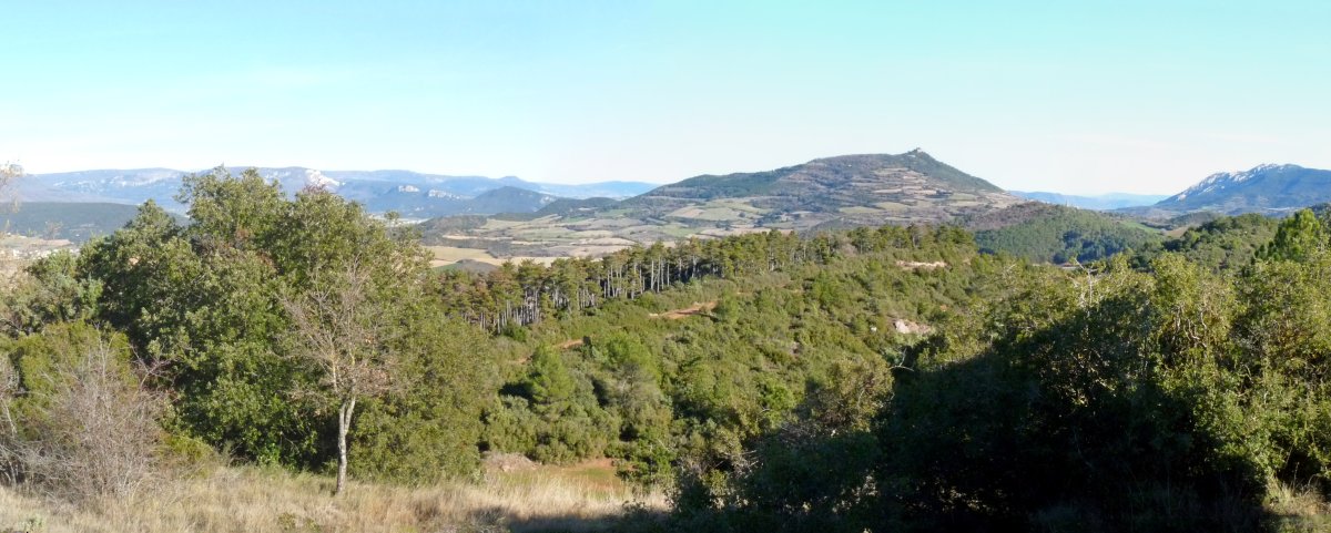 Panorama Salera menditik