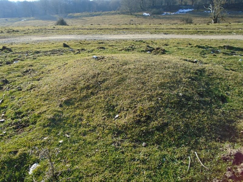 bidoiza  etxola hondoa