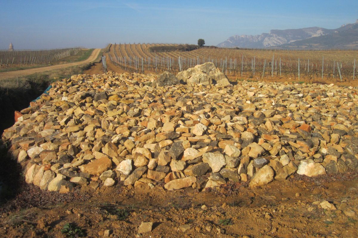 Dólmen El Encinal (Febrero 2019)