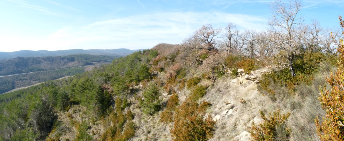 Eskargaitzeko gandorra