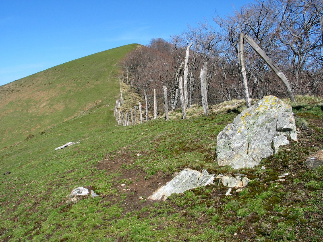 Tontorra HEko bizkarretik