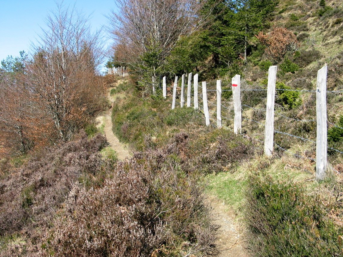 Tontorra Mendebaldetik inguratzen duen bidezidorra