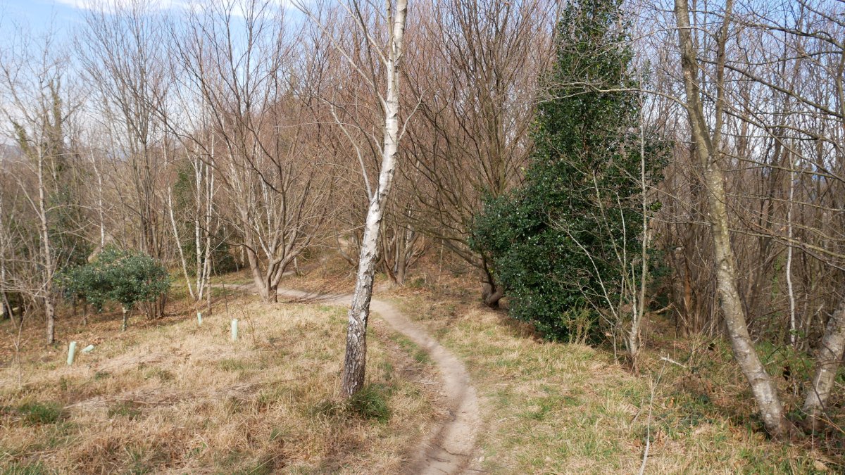 Samarkoko Mko bizkarreko bidea