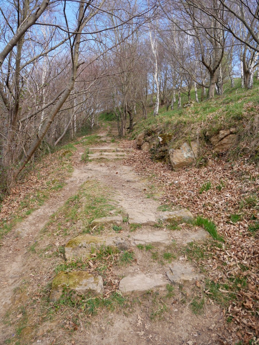 Samarko gotorlekuko bidea