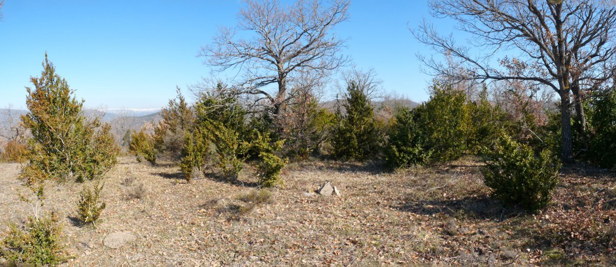 Iparraldeko gailurra, Petikerlo izenekoa