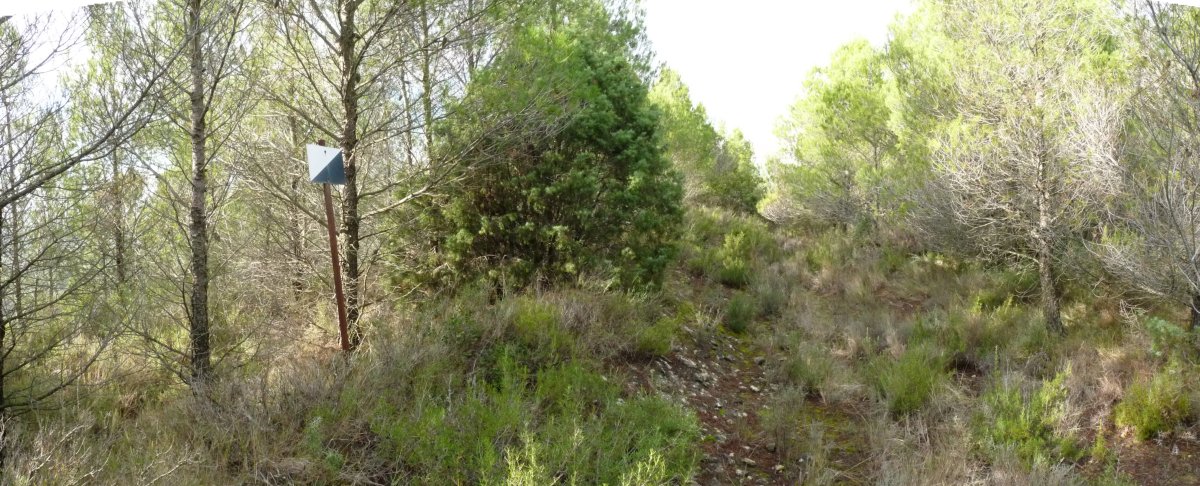 Sierra Bajako gailurra