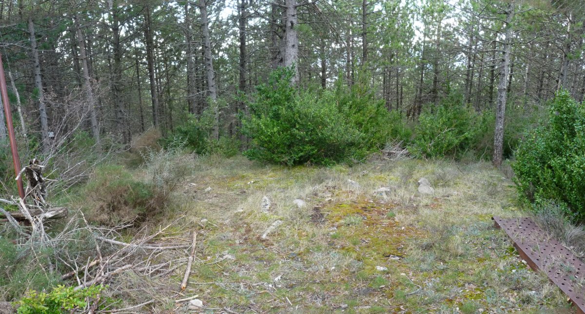 San Lorentzoko gailurra