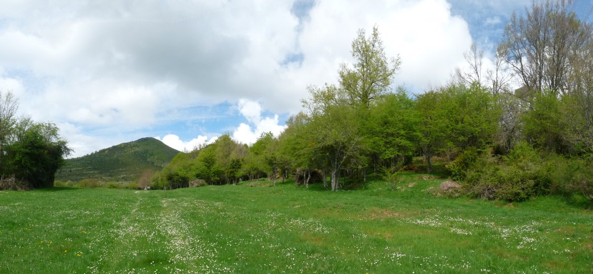 Agote inguruko larreak