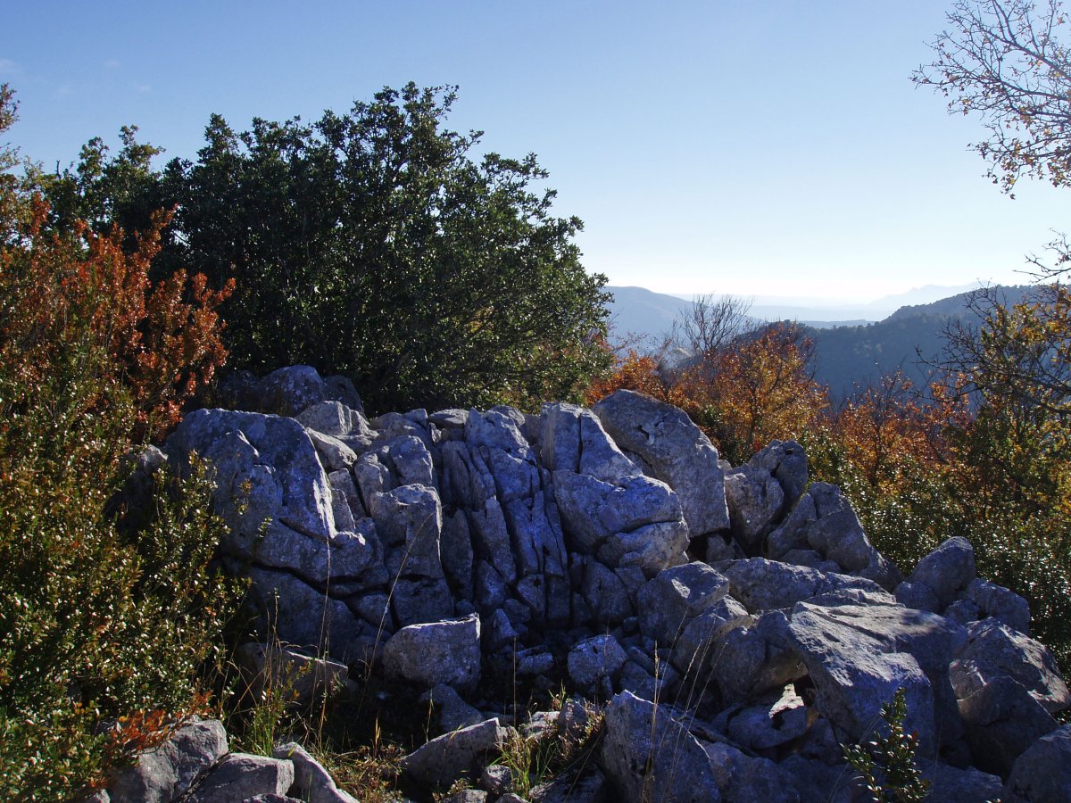 Biskaxuneko gailurra