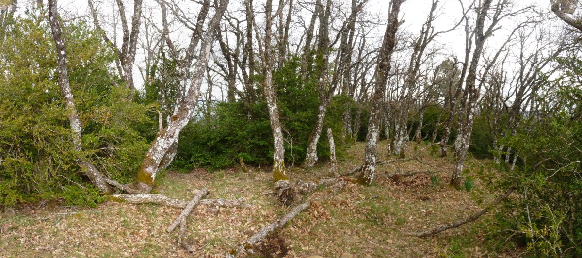 Ardil gaina, Basagar eta Julio artean, 1000 metroak gainditzen dituen mendia