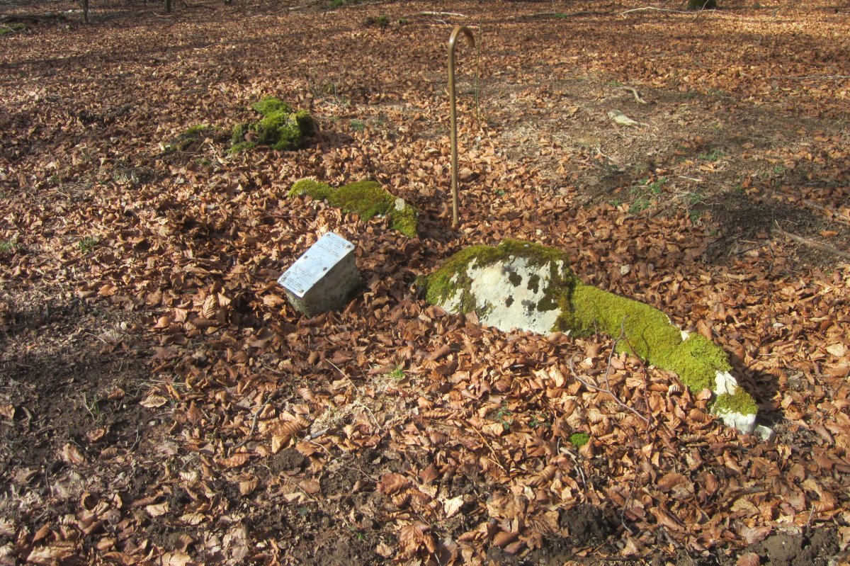 Dólmen Dondoro (Marzo 2019)