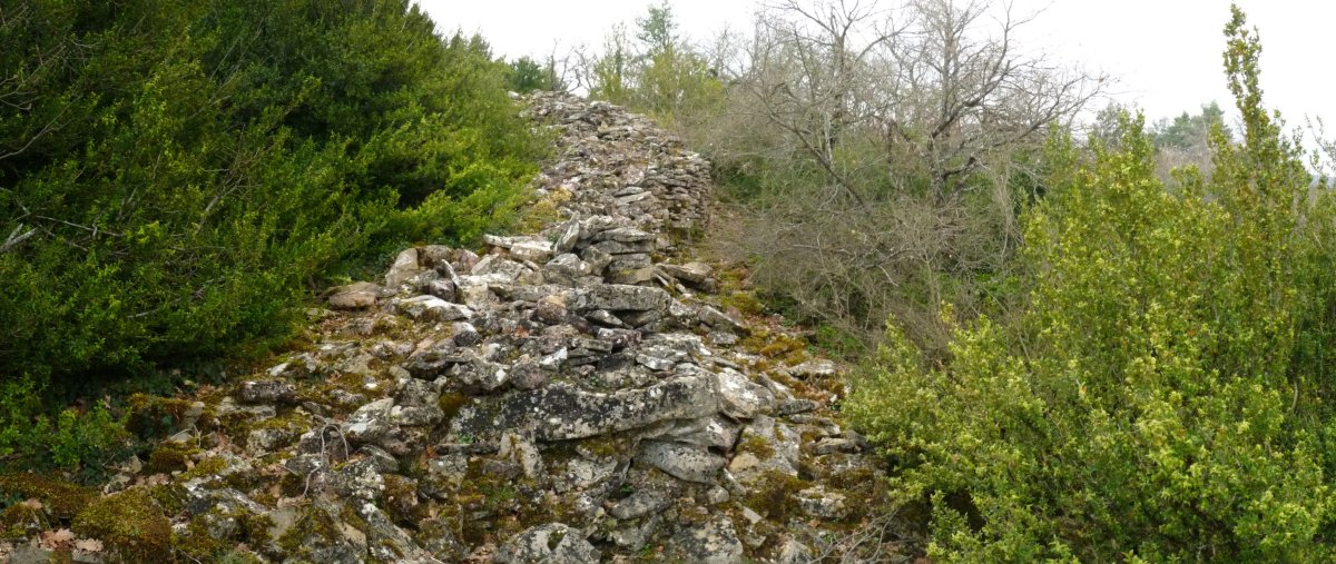 Murru baten aztarnak mendiko gandorrean