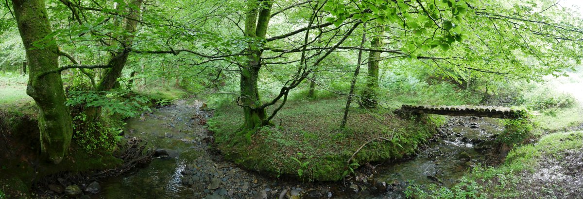 Leitzalarreko erreka