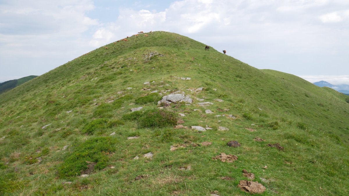 Mandoegiko HEko bizkarra