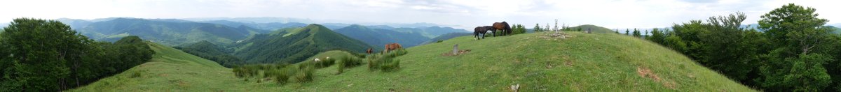 Urepel gailurreko panoramika