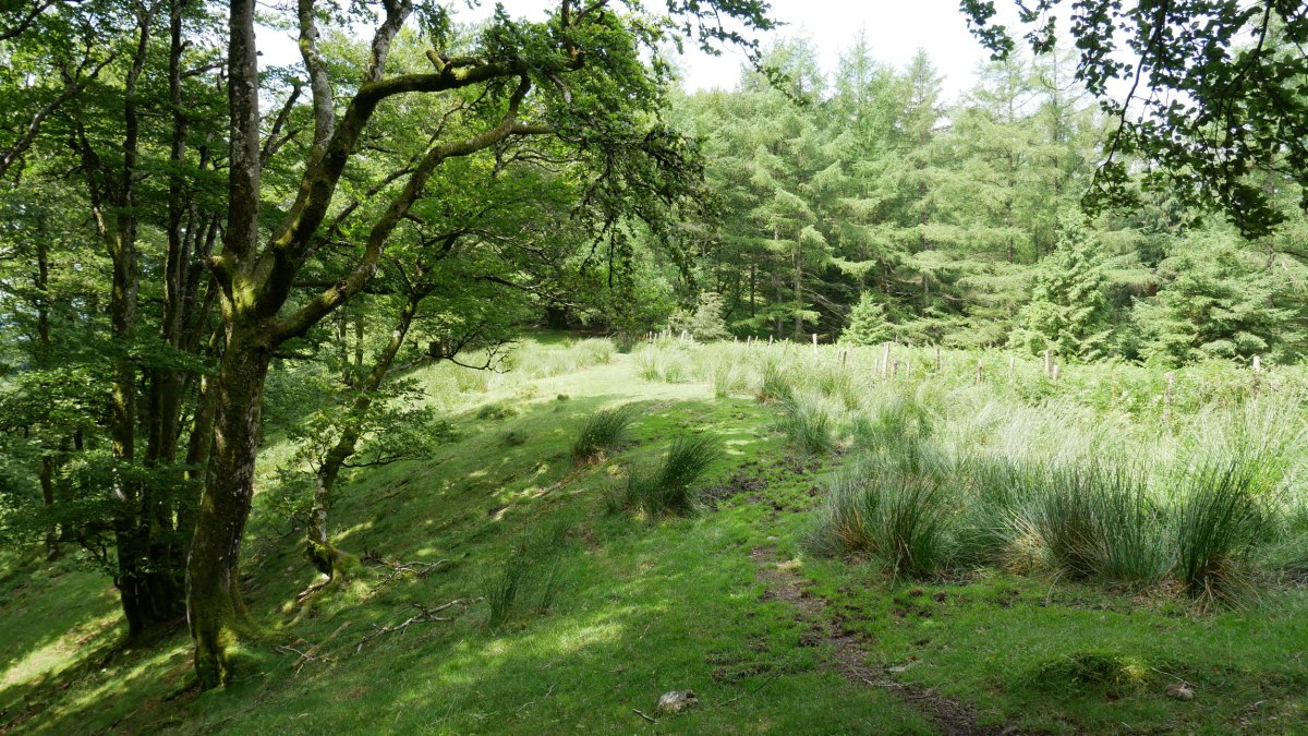 Altzegi eta Urepel arteko lepoan